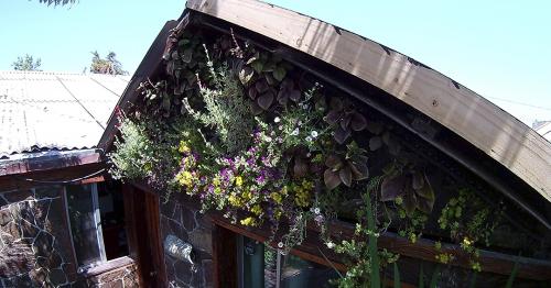 Muro Verde Modular.