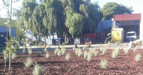 Proyecto Jardín Seco CMPC Talagante.